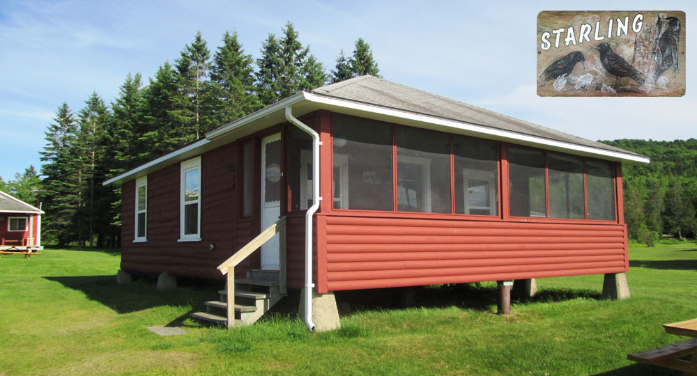 The Starling at Jackson's Lodge is a two bedroom lake front all log cabin with a double bed in one bedroom and a set of twins in the other.