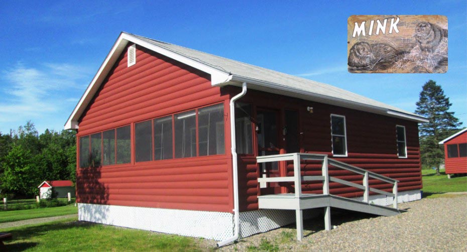 The Mink handicap accessible vacation cabin with two bedrooms