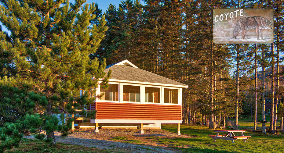 The Starling at Jackson's Lodge is a two bedroom lake front all log cabin with a double bed in one bedroom and a set of twins in the other.